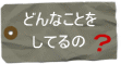 どんなことしてるの？